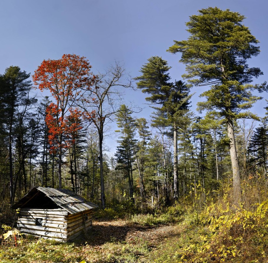 Боровецкий лес дом отшельника