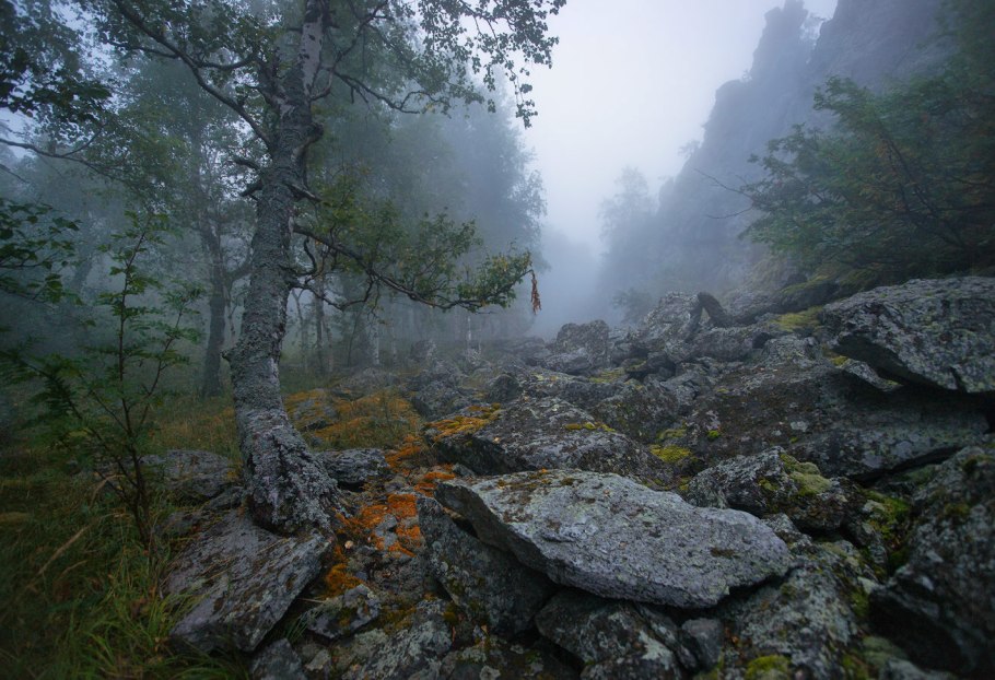 Уральские дебри