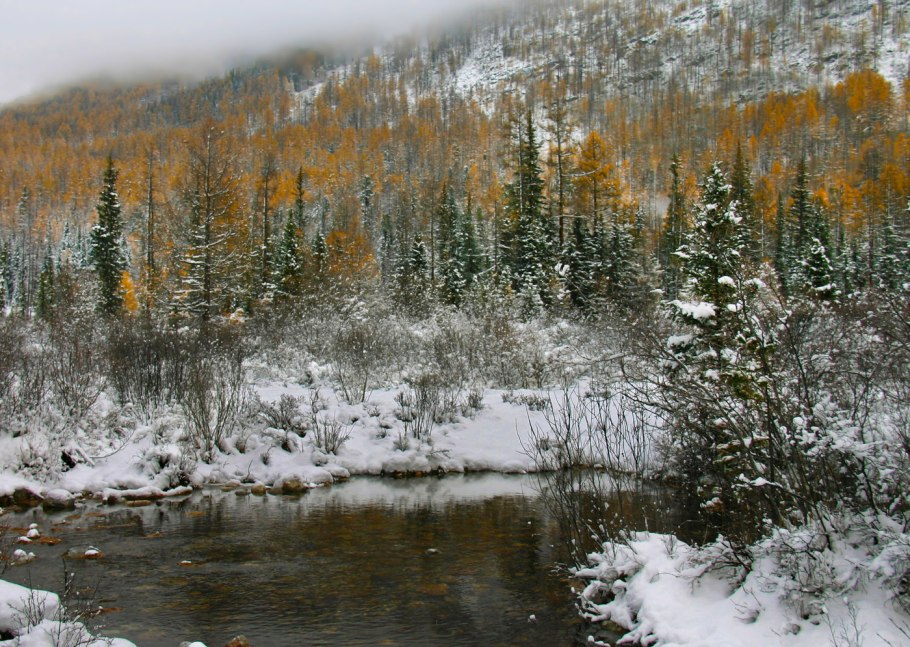 НЕПРОХОДИМАЯ Сибирская Тайга