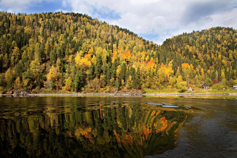 Горный Алтай горные ручьи