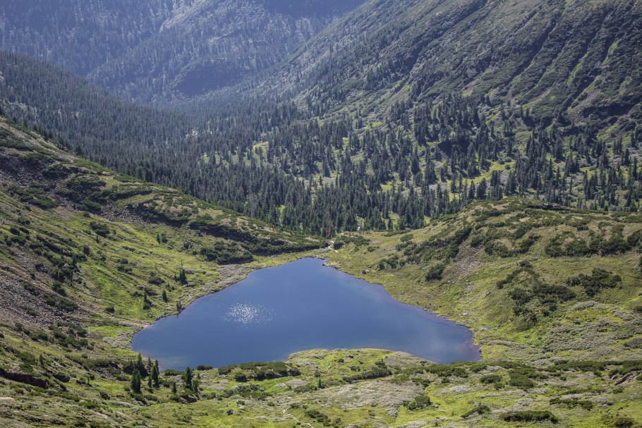 Тайга Ергаки