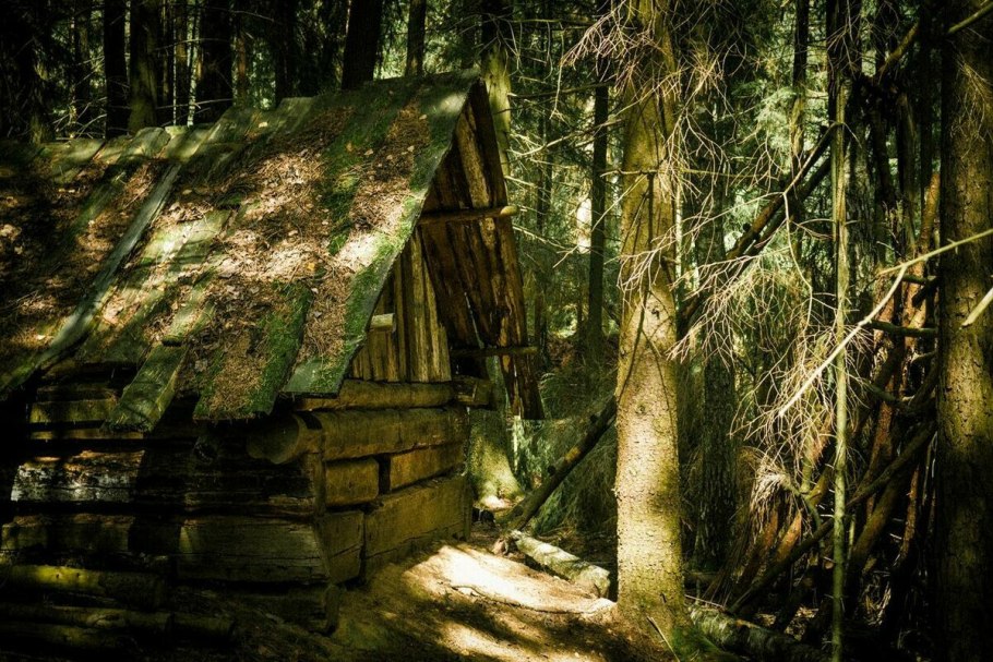 Горный Алтай купальница