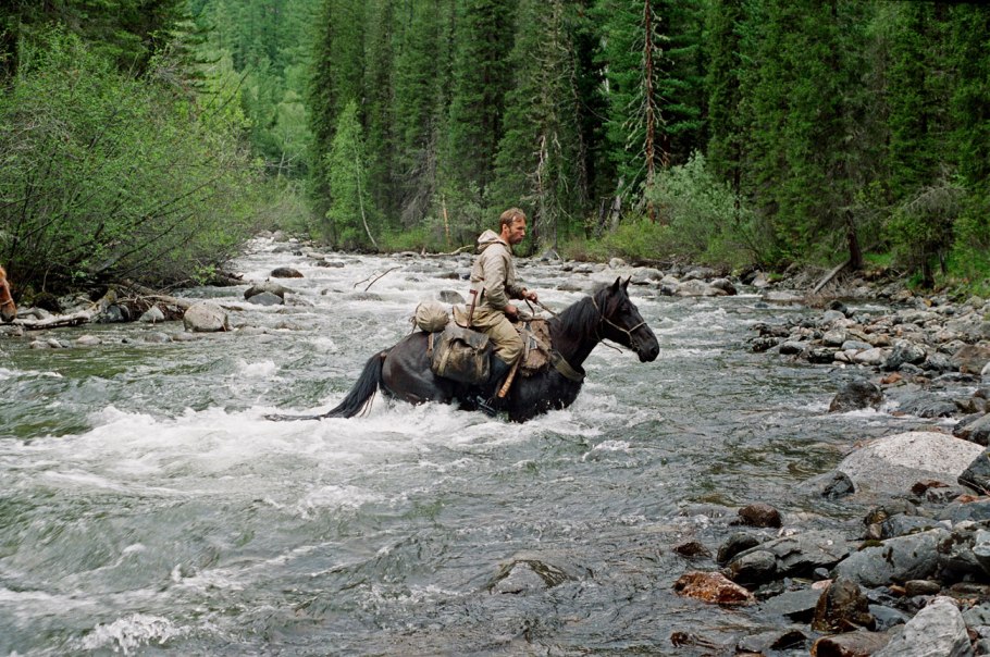Тайга хвойный Бор НЕПРОХОДИМАЯ