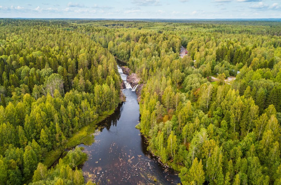 Директор заповедника Кивач