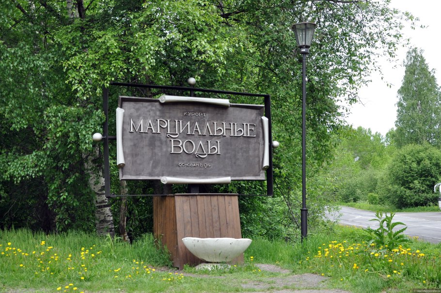 Лось в Кировской области