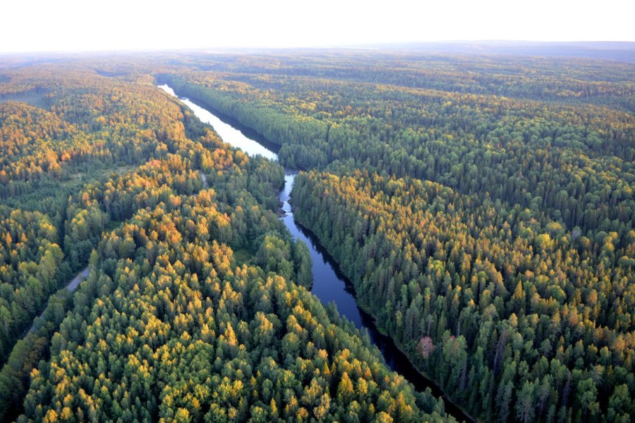 Музей в заповеднике Кивач Карелия