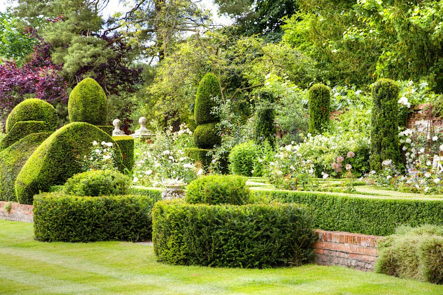 Парк кусты Англия