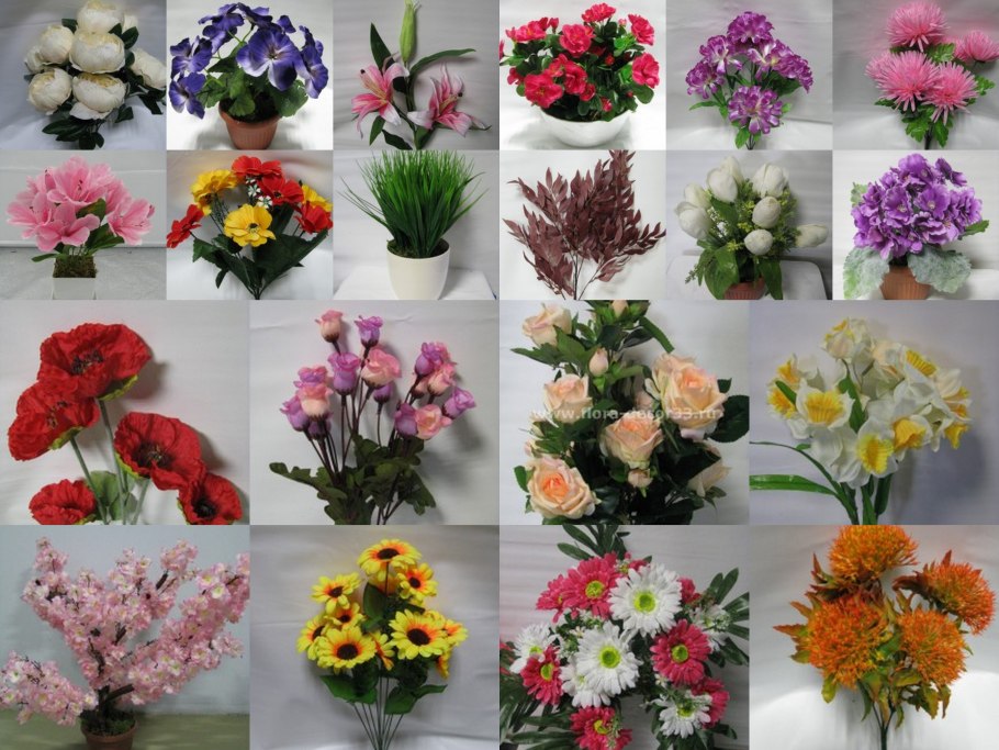 Ассортимент цветочной растительности