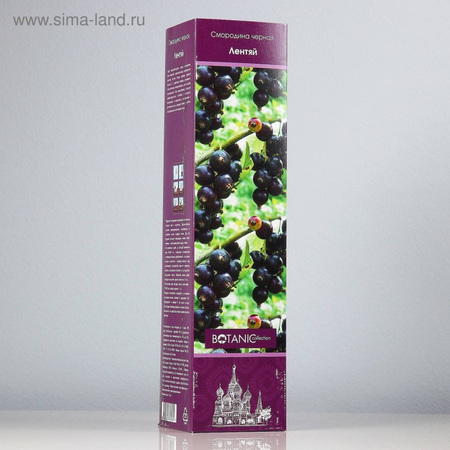 Смородина дар Смольяниновой