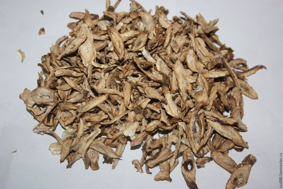 Лопух корень