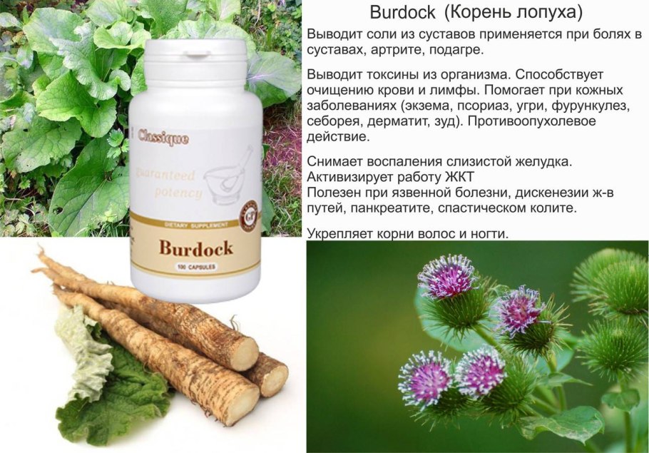 Зелень лопух