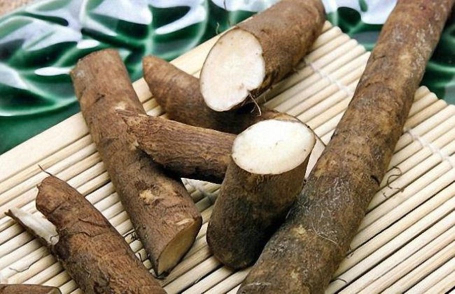 Корни лопуха ГФ