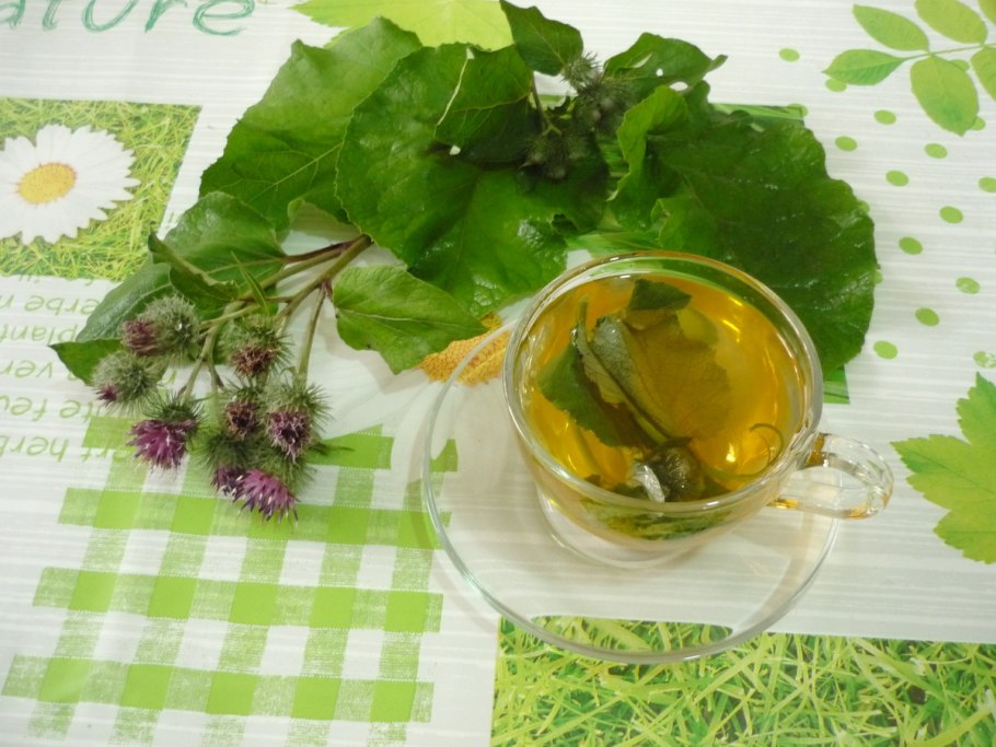 Лопух корень