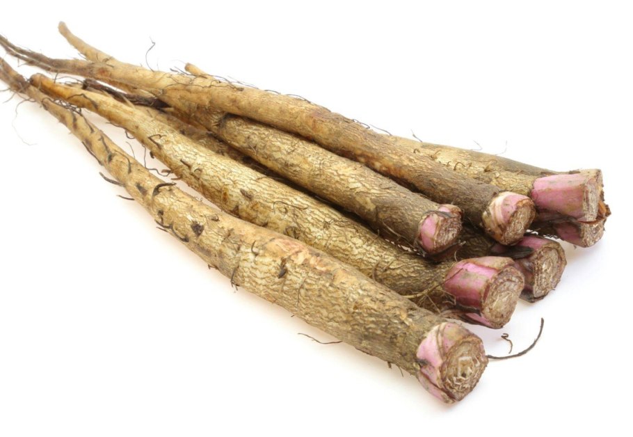 Burdock (корень лопуха)