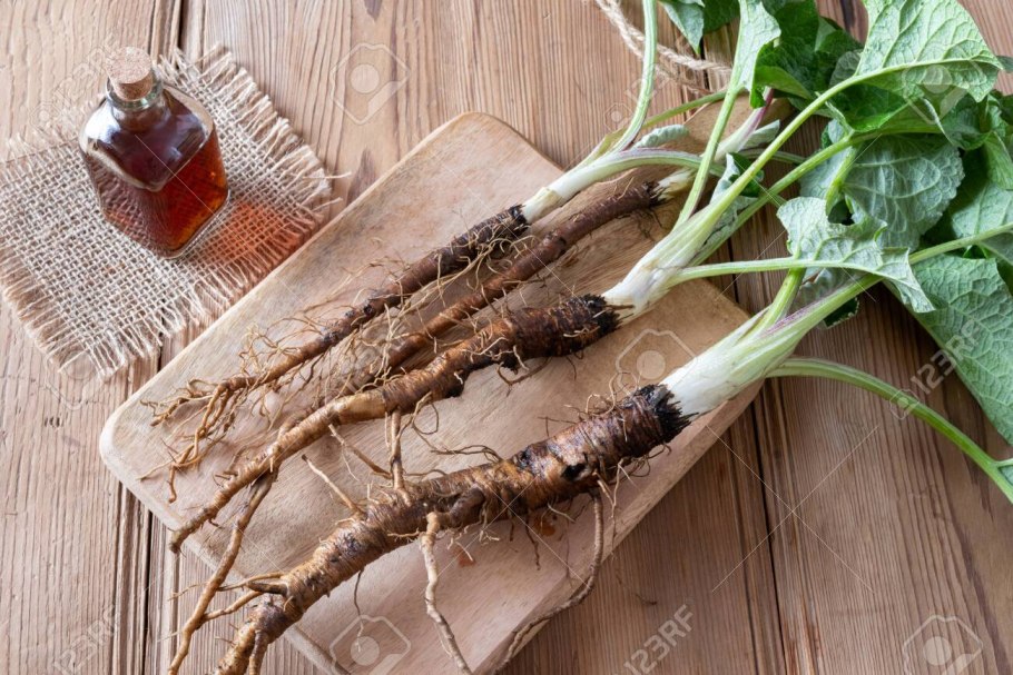 Наследие природы корень лопух большой 50 г