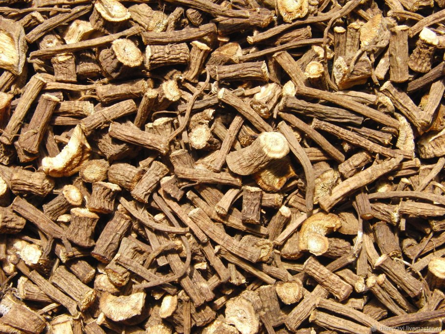 Корни лопуха ГФ