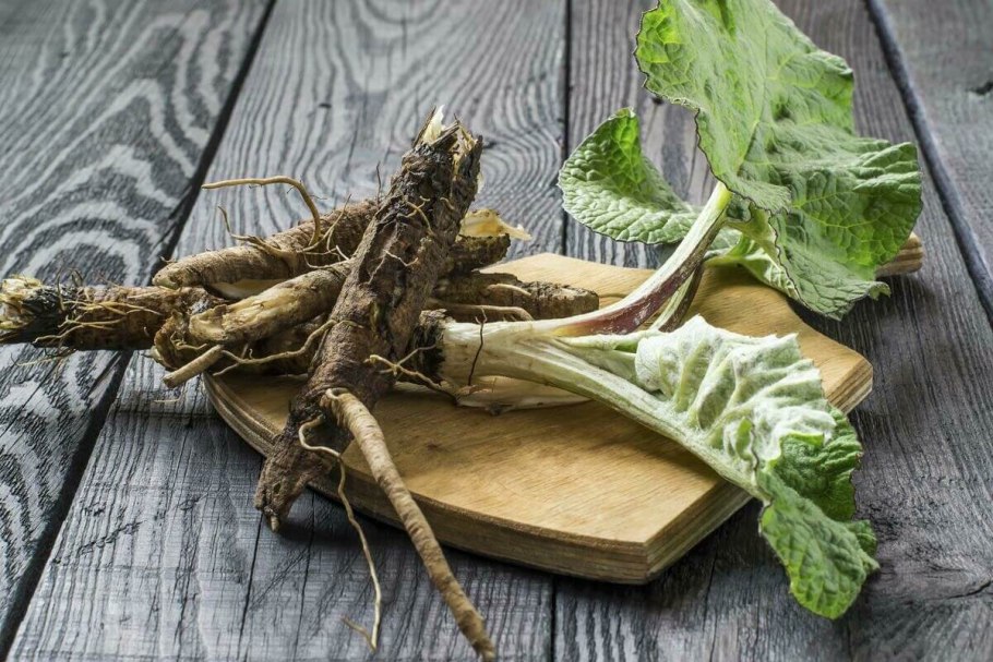 Burdock root, корень лопуха