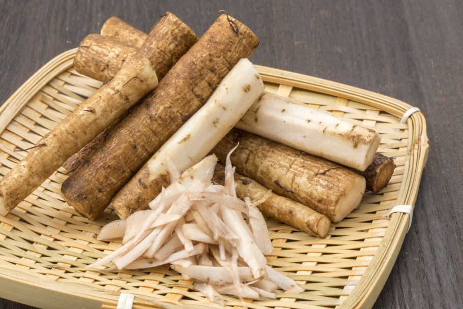 Корень лопуха заготовка