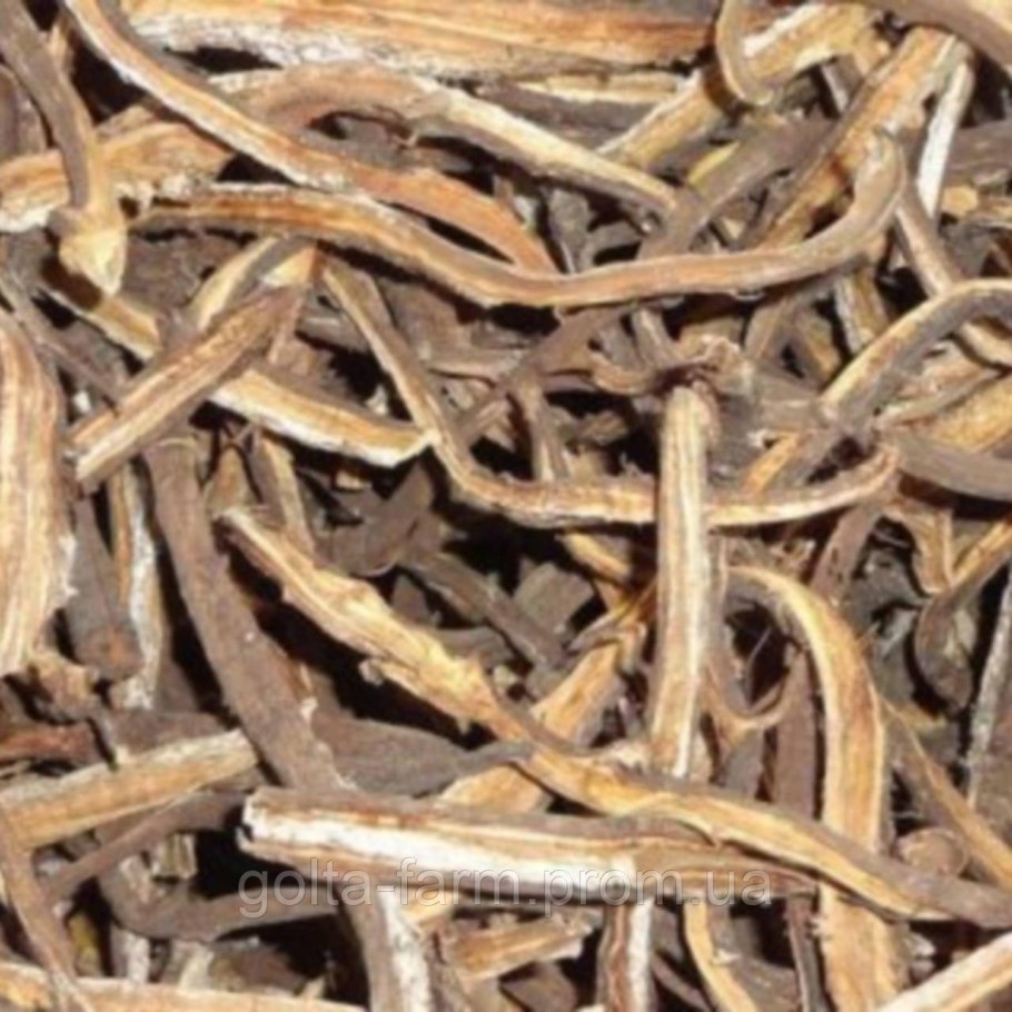 Лопух лекарственное растение