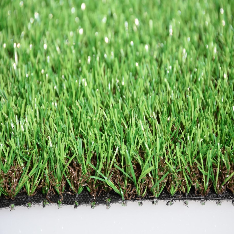 Растение Мшанка шиловидная