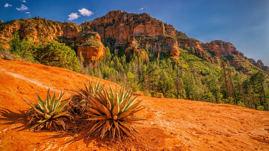 Штат Чиуауа , Мексика природа