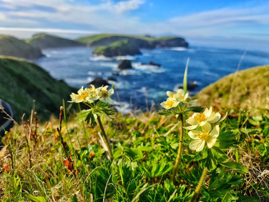 Остров шикотан курильские острова