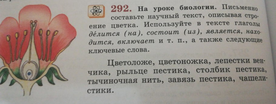 Схема строения цветка покрытосеменных