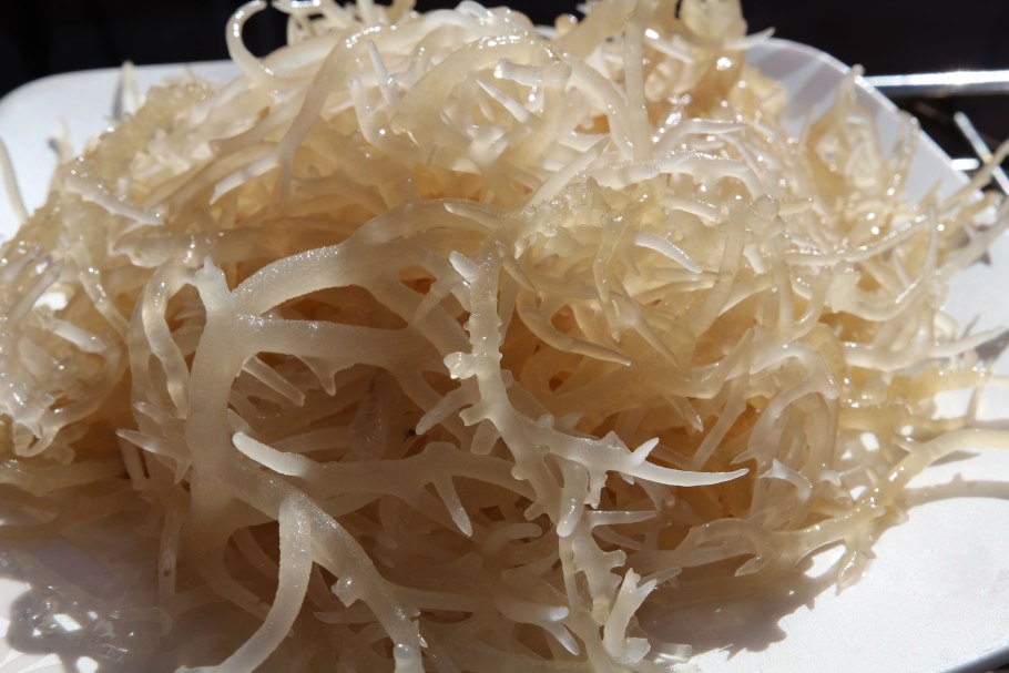 Пурпурный мох