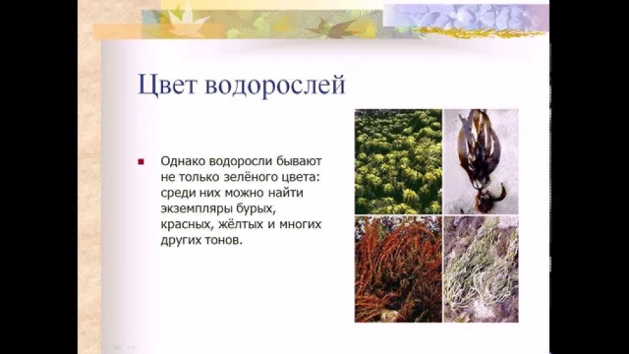 Пасечник 5 класс учебное пособие