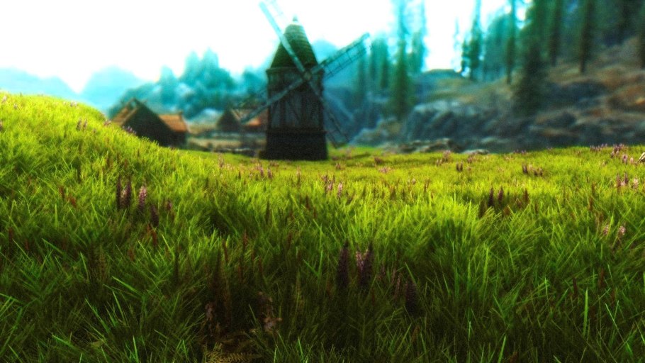 Скайрим пшеница