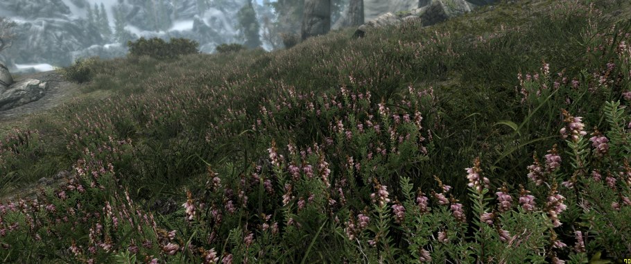 The Elder Scrolls v Skyrim 4к