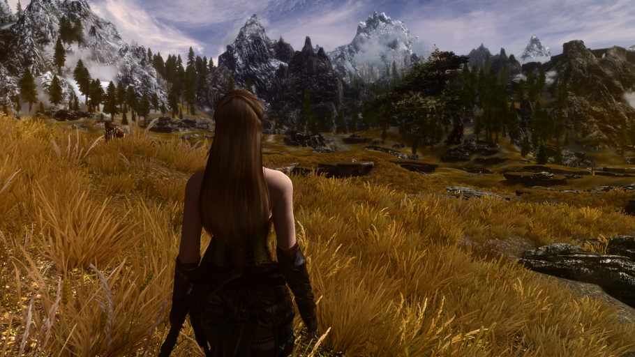 Компаньон Нейса Skyrim