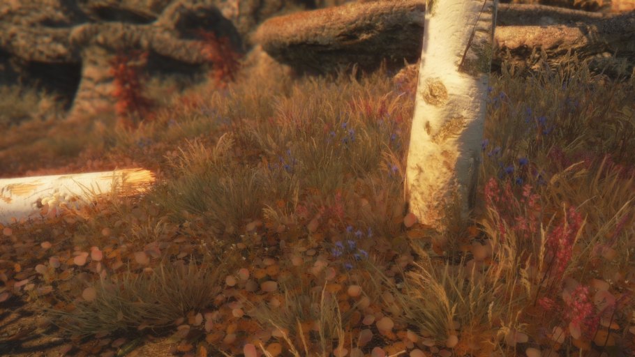 Skyrim cle-255 оружие Луки