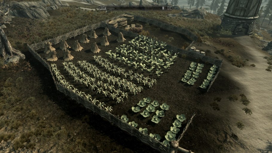 Норд светлый вампир скайрим