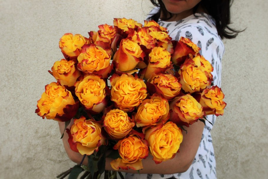 Роза Хай Еллоу Мэджик