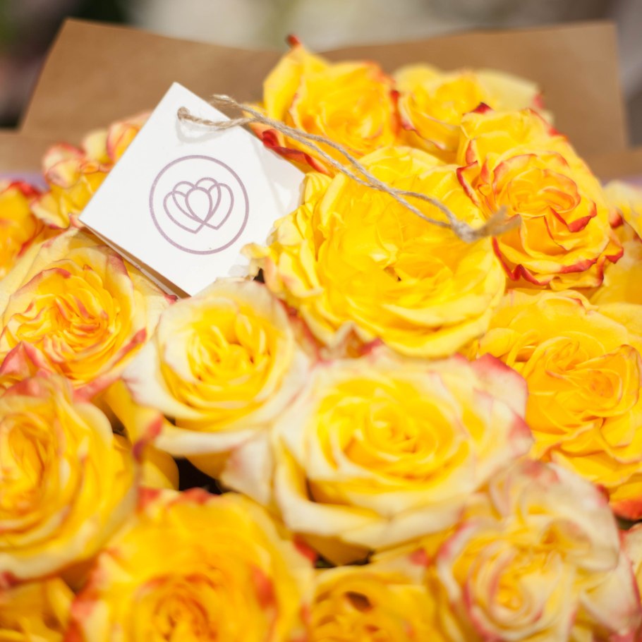 Роза оранж Мэджик (Orange