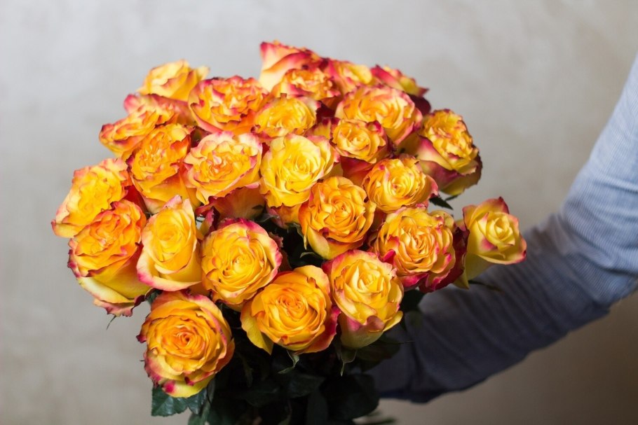 Роза Йеллоу Кинг