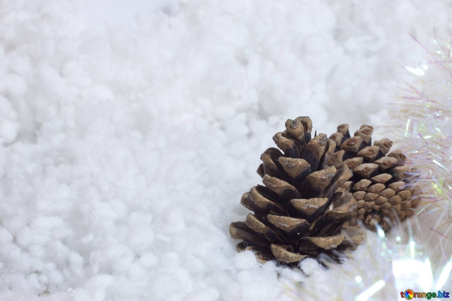 Шишки в снегу