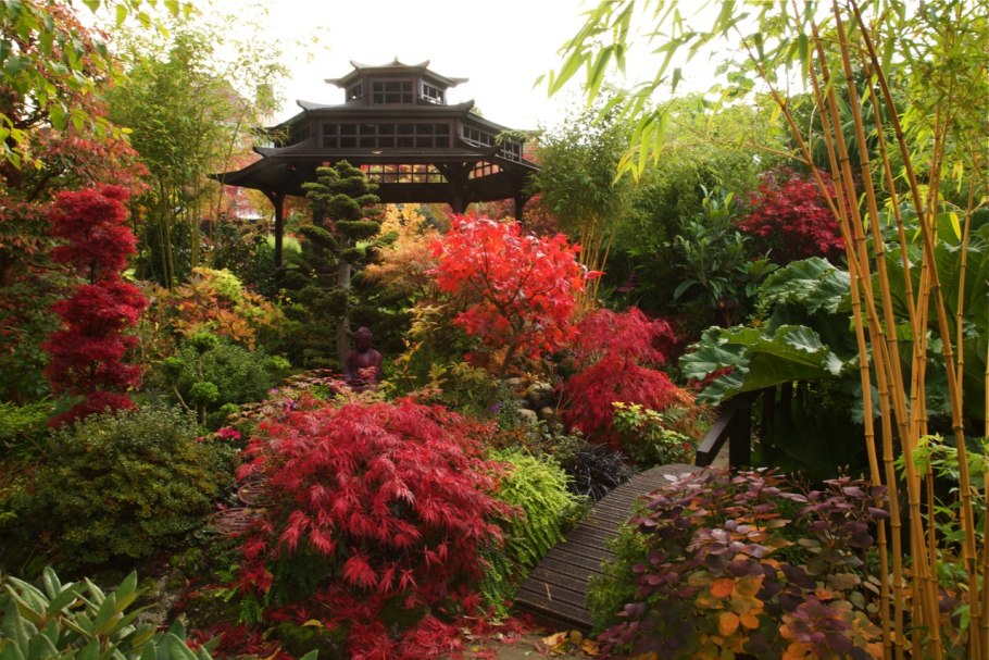 Китайские фермеры в России