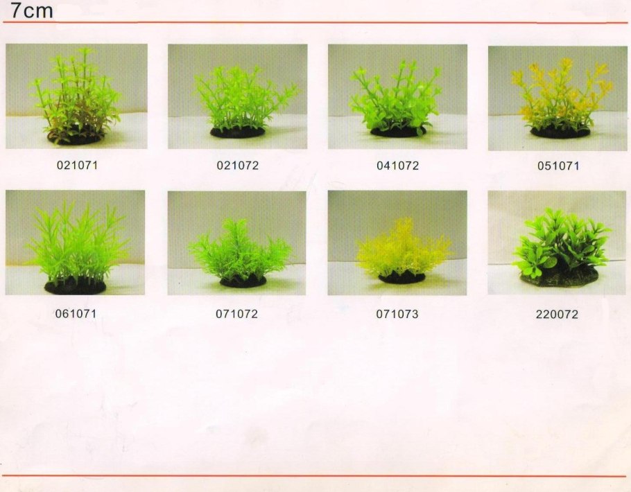 Лимнофила ругоза