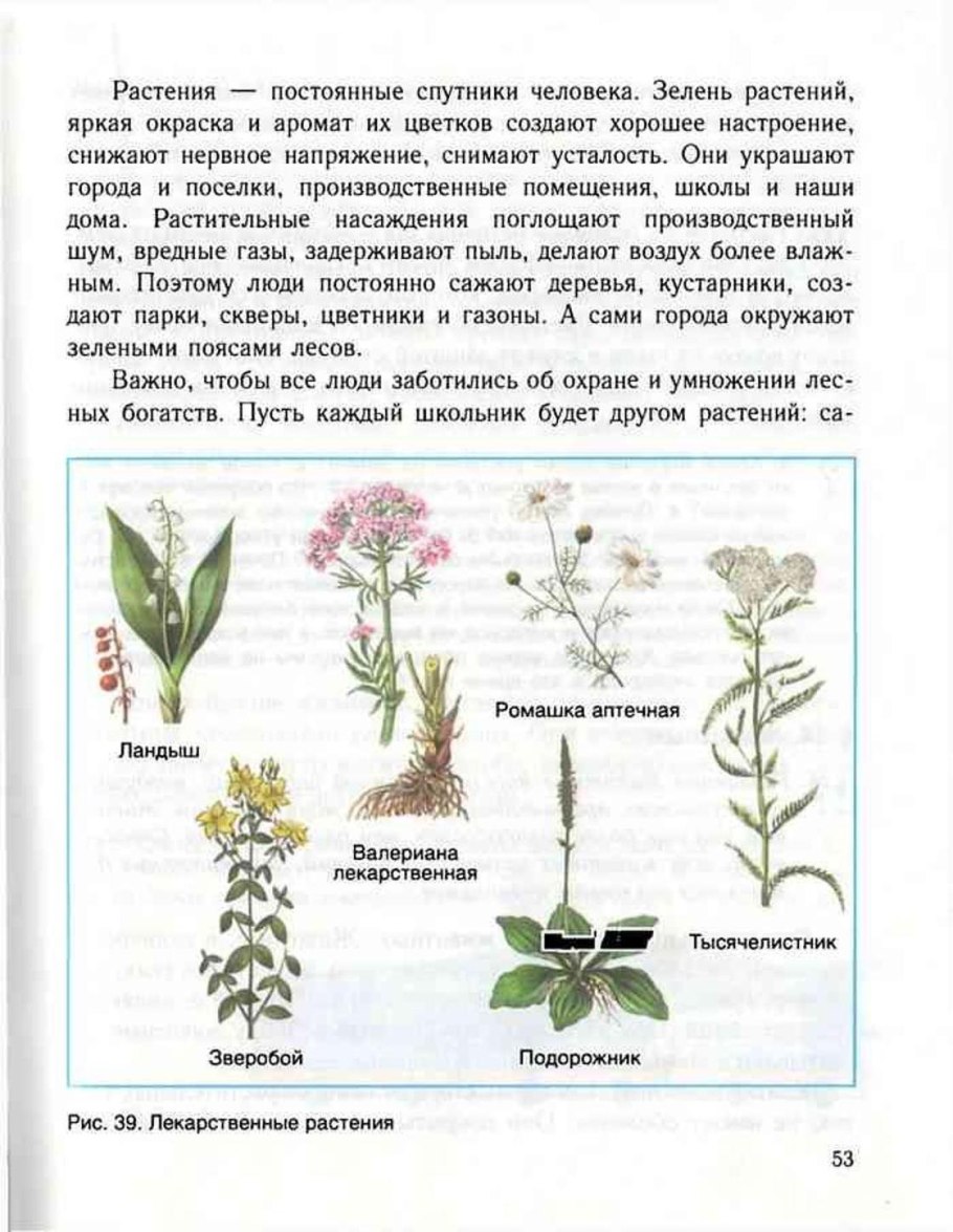 Вода и растения