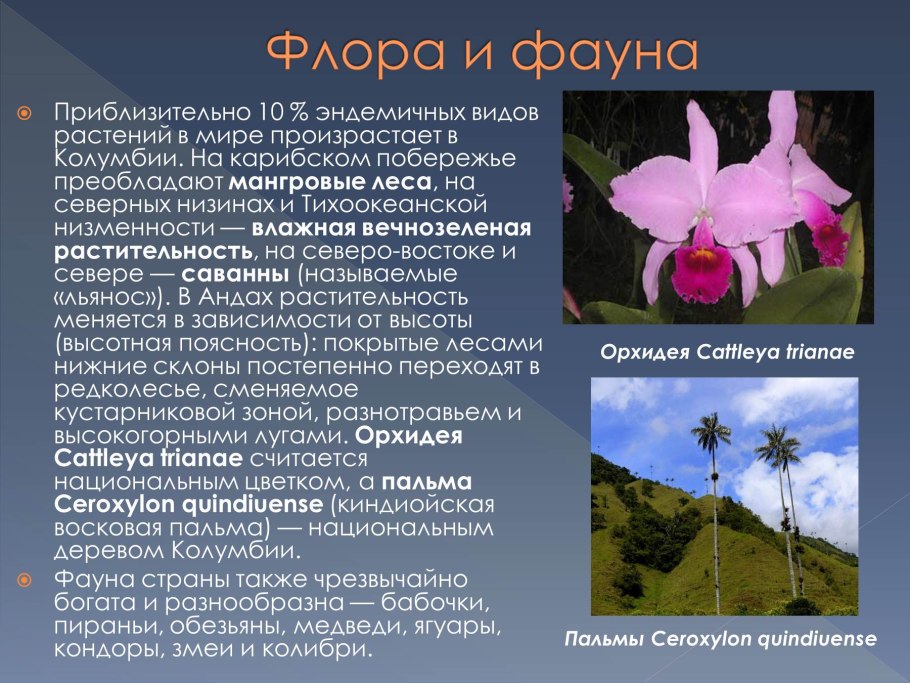 Кроссворд на тему афририка