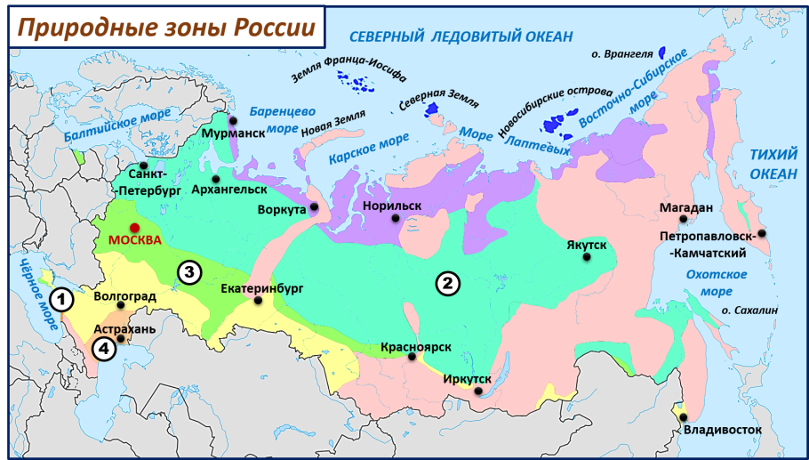 Винкс Блумикс Флора
