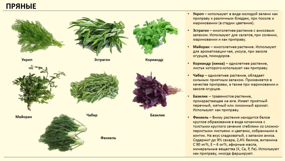 Ягель, Морошка, брусника