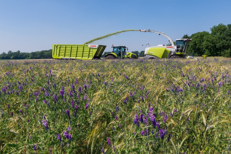 Вико-овсяная смесь на сено