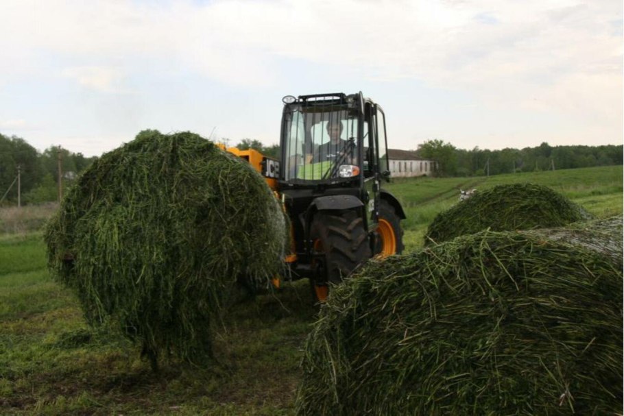 Сено зеленое