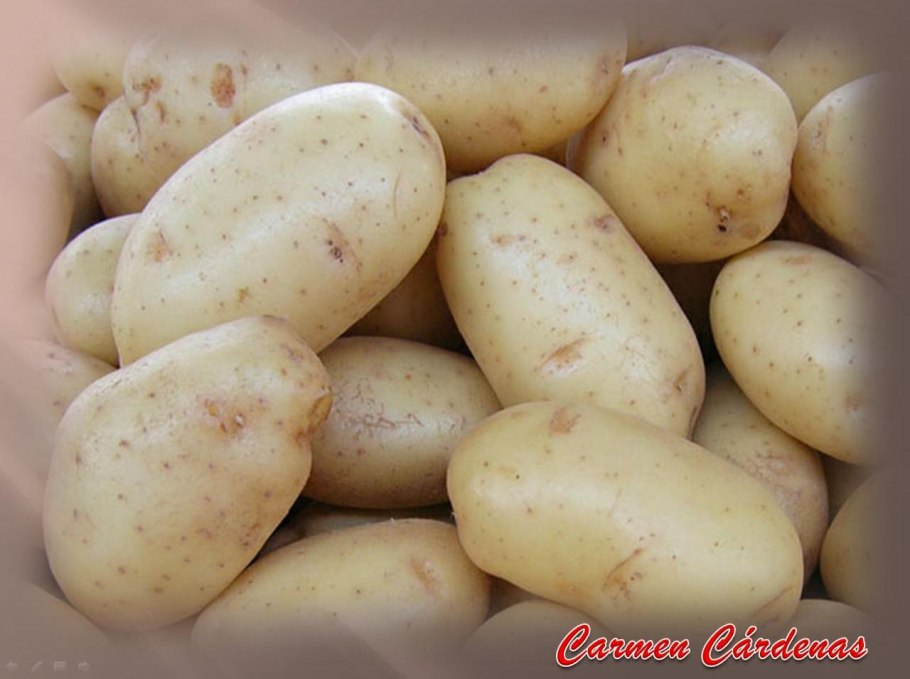 Картофель удача элита