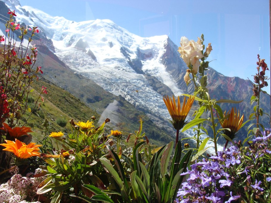 Тропические леса Гималаи