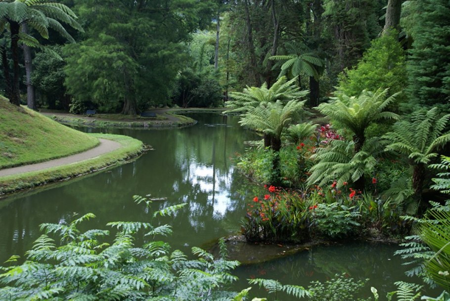 Травянистая Степная растительность Крыма