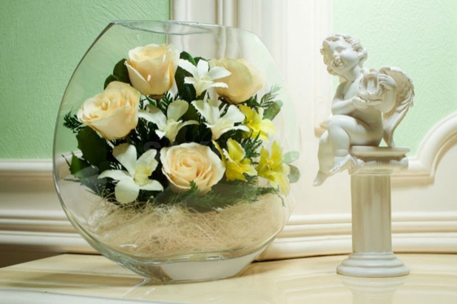 Олива дерево комнатное